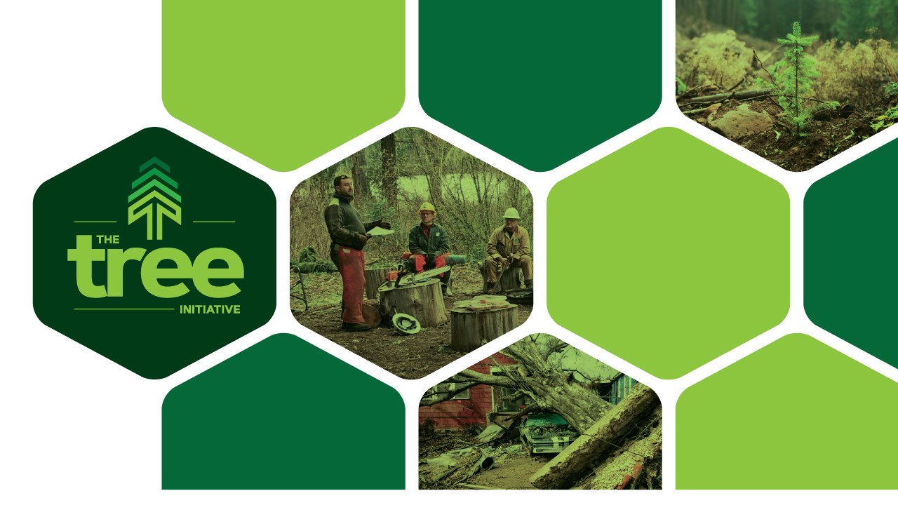 The-Tree-Initiative_Hero_1280x720