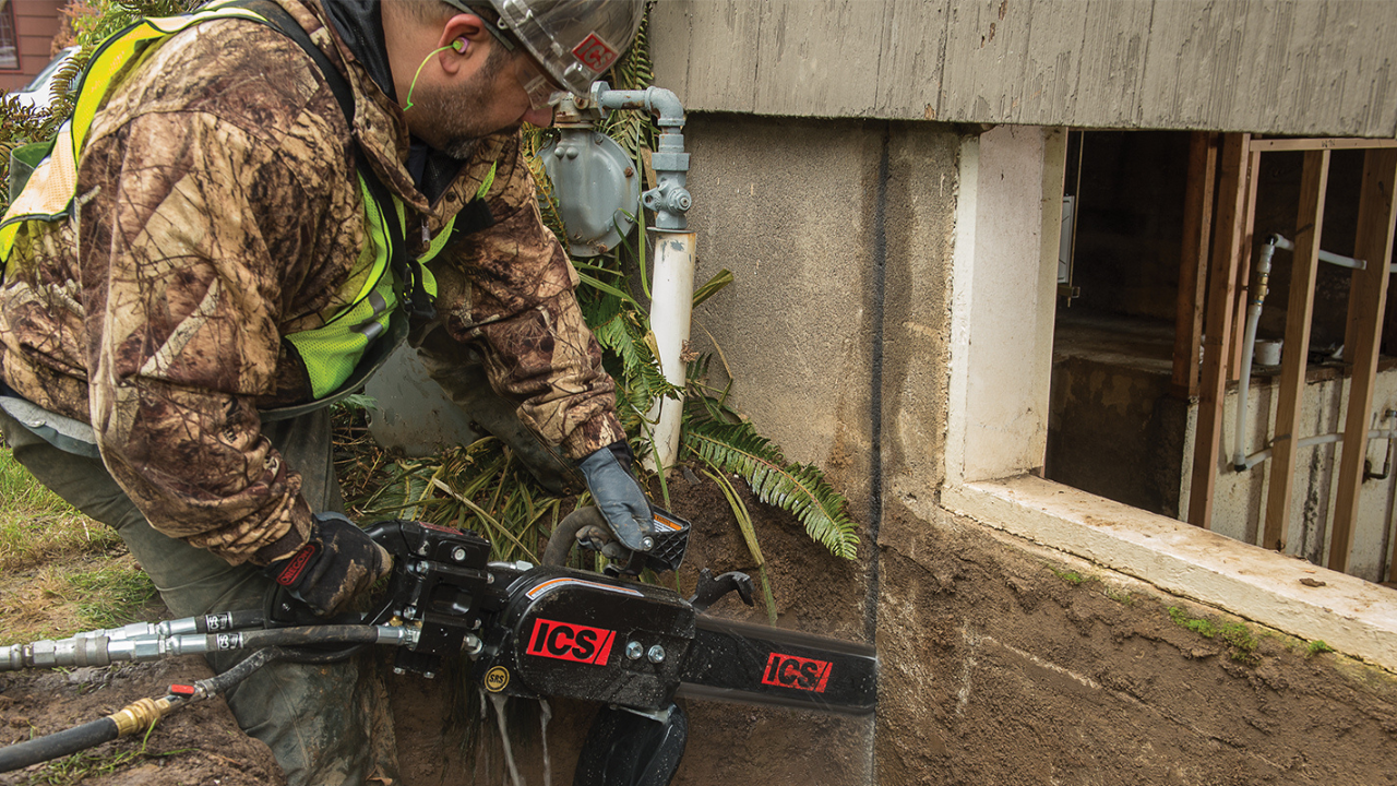 t.r.e.e. Initiative Website Images - CCF